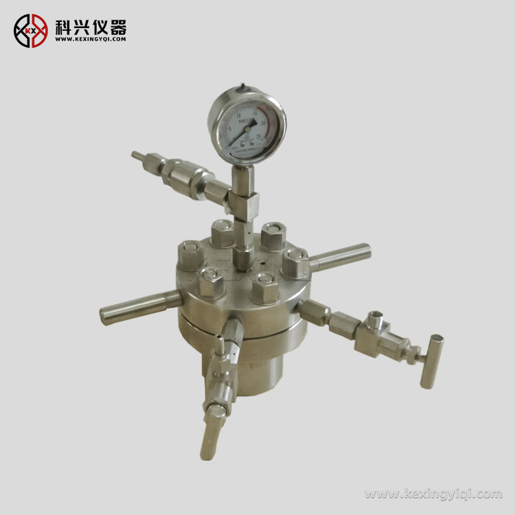 KF簡(jiǎn)易高壓反應釜